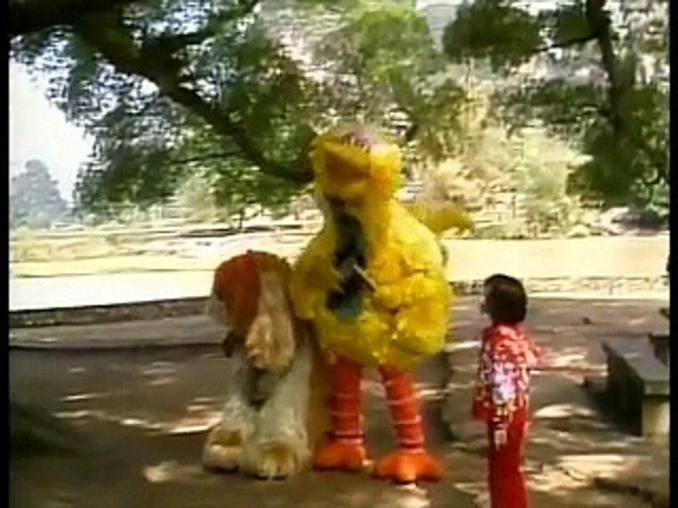 Big Bird in China Part 6