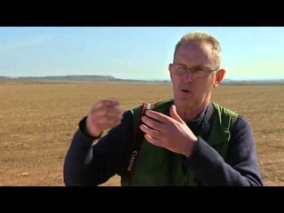 TV3 - Tocats de l'ala - Tresors de secà