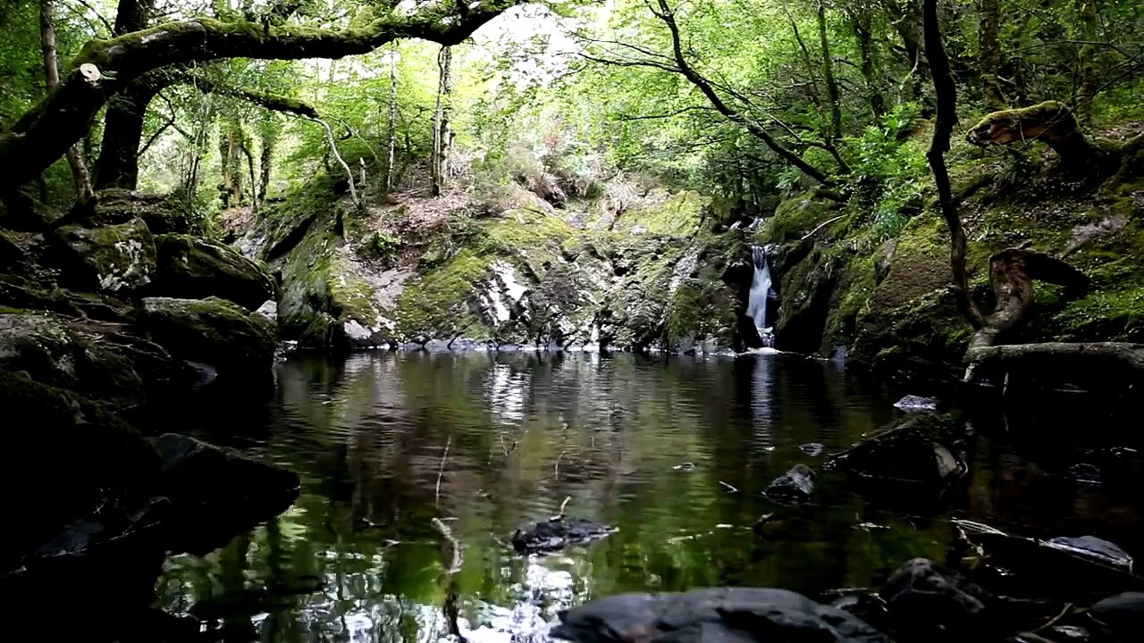 Relax - tranquil water music of nature - calming flowing dripping waterfall sounds-Meditat