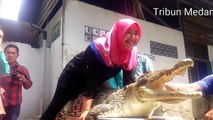 Lihat Aksi Mira Menunggangi Buaya