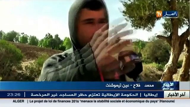 عين تيموشنت فيضان الوادي يهدد الهكتارات من الأراضي الفلاحية بالضياع