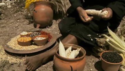 Who Killed The Maya? (Ancient History Documentary)