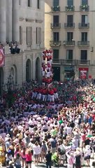 Cercano di fare una piramide umana ma sfiorano la tragedia