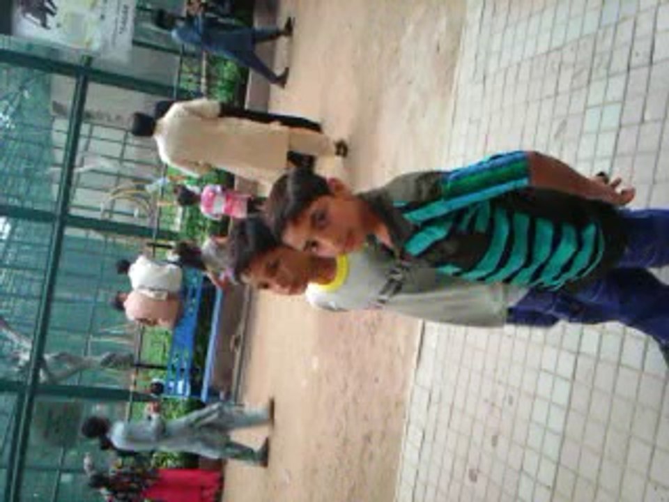visit zoo