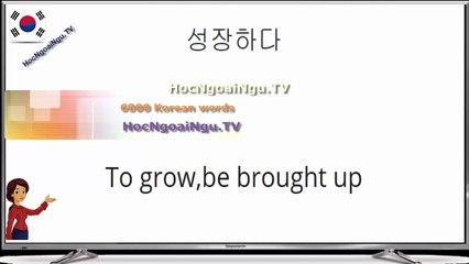 6000 Korean words ( 1900-2000)