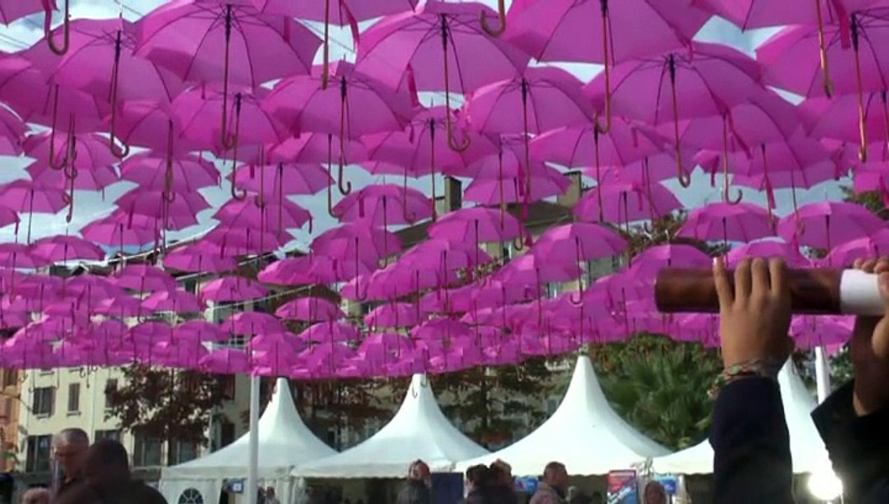 LES W-D.D. MICHOU NEWS - 11 OCTOBRRE 2015 - PAU - LES JOURNÉES DE LA SCIENCE N° 2 AVEC GERMEA.