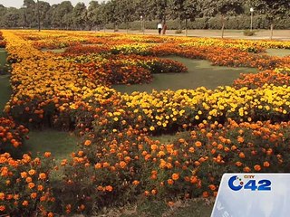 PHA starts preparation of Gul-e-Dawoodi exhibition