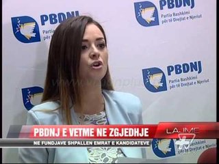 PBDNJ e vetme në zgjedhje - News, Lajme - Vizion Plus