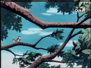 Arabic Opening - سنجوب