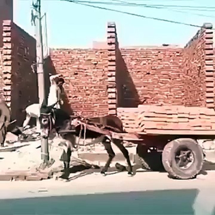 Pathan Judari