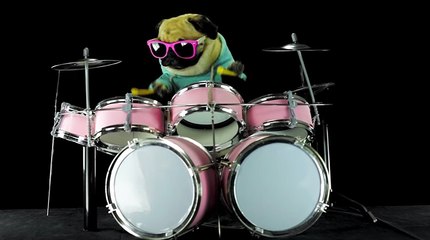 Dog is playing drums - Metallica Enter Sandman - YouTube