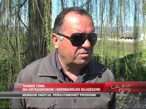 Fusha e Maliqit e etur për ujë - News, Lajme - Vizion Plus