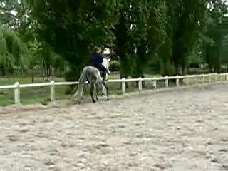 Figaro changement de pied depat galop