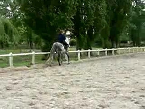 Figaro changement de pied depat galop