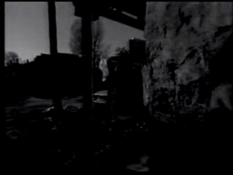 Toma Zdravkovic - Danka (video)