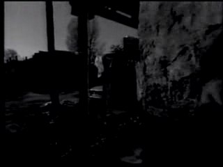 Toma Zdravkovic - Danka (video)