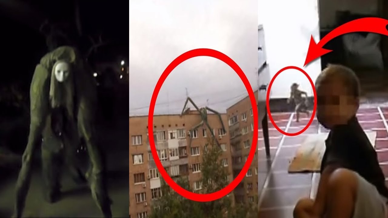 Top 10 Mysterious Creatures Caught On Camera