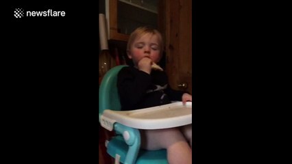 Toddler keeps fallling asleep while eating