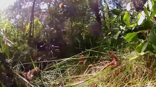 173rd Airborne Trains with Lithuanian Army