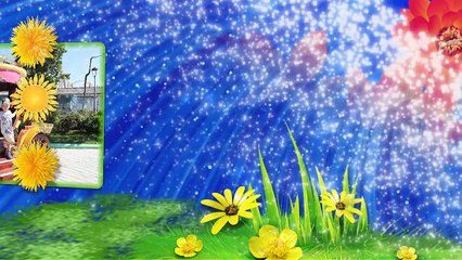 Саша и Лето 2015