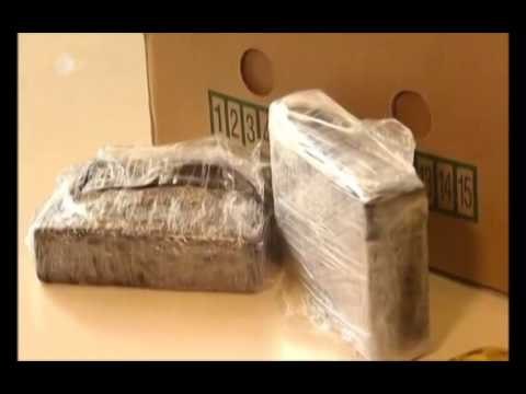 KAPET NE BERLIN SASI REKORD KOKAINE E PAKETUAR NE ARKA BANANESH NE SUPERMARKET LAJM