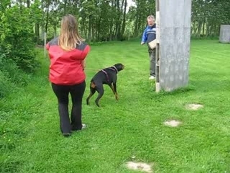 Cache