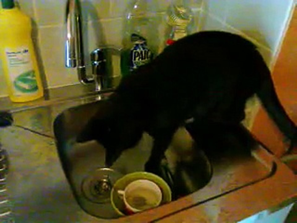2011-01-21 09.15.02