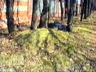 Искусство снайпера. Укрытие типа Колесо.