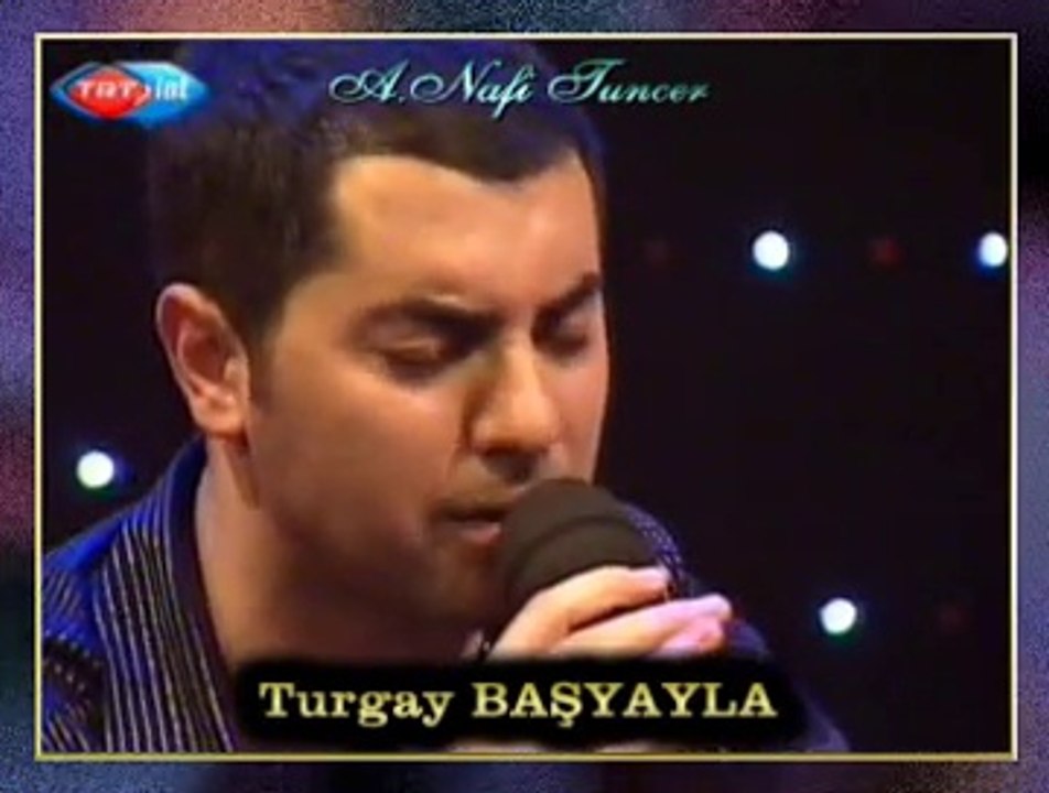 Turgay BAŞYAYLA-Hastane Önünde İncir Ağacı