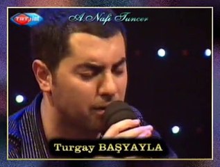 Turgay BAŞYAYLA-Hastane Önünde İncir Ağacı