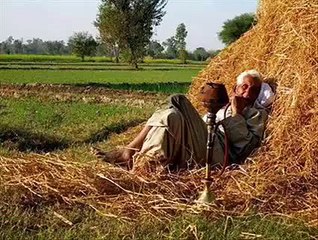 Very funny and interesting punjabi poetry