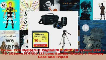 Descargar video: BEST SALE  Canon EOS Rebel SL1 Digital SLR with 1855mm STM  75300mm f456 III Lens Bundle