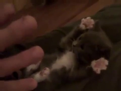 Ролик собрал уже 11 млн просмотров на Ютубе