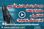 Jab Hazrat Sulaiman Ne Makhlooq Ko Khana Khelanay Ki Ijazat Mangi By Maulana Tariq Jameel