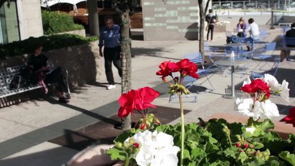 Ira the Puppet Gives Tips on Auditioning for America’s Got Talent