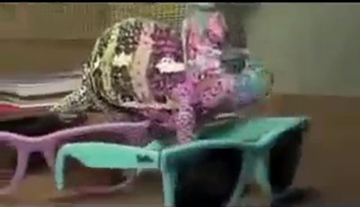 سبحان الله في خلقه