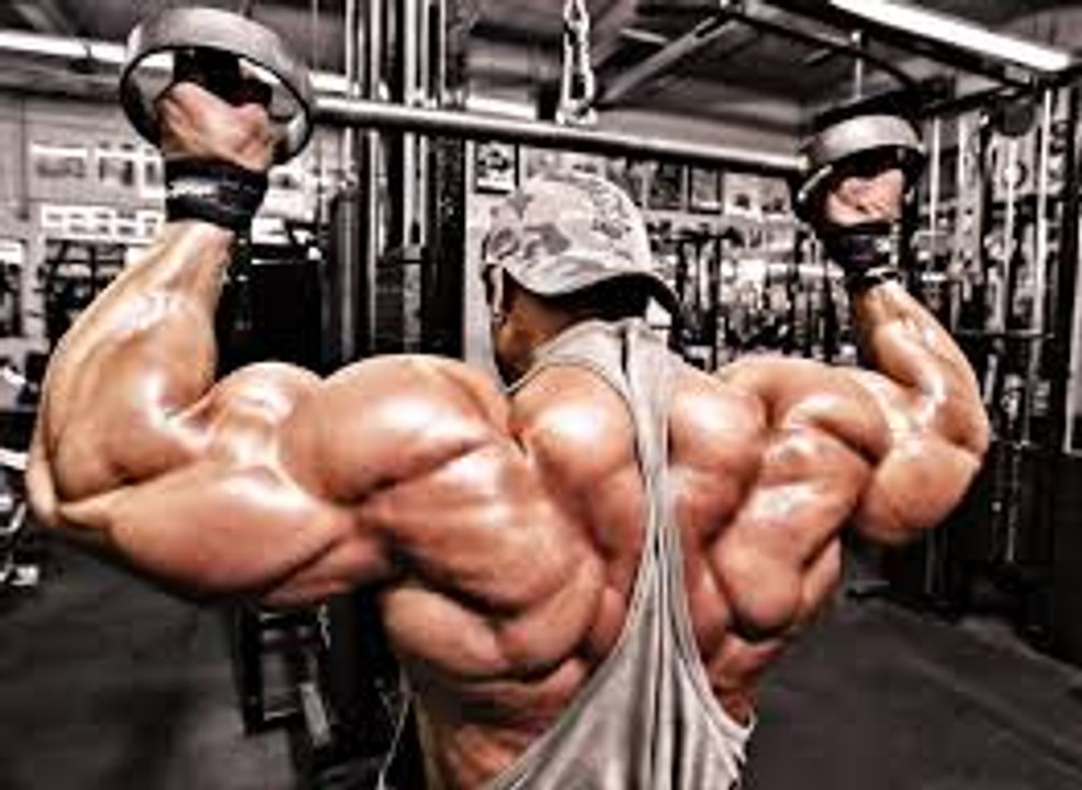 Ultimate Synthol Compilation 2015
