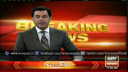 پی آئی اے کی فلائیٹ کے اندر بلی گھس گئی