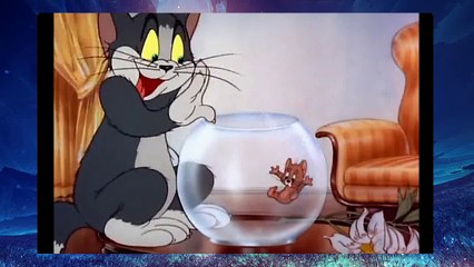 Tom and Jerry, 6 Episode - Puss n’ Toots (1942)