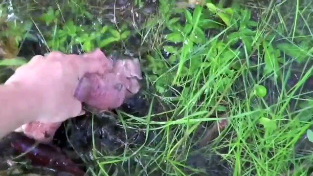 How to tenderize meat for stir frying and other ways of cooking