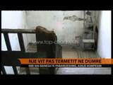 Një vit pas tërmetit në Dumre, asnjë kompensim  - Top Channel Albania - News - Lajme