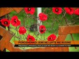 Poroshenko: Jemi në luftë Rusinë - Top Channel Albania - News - Lajme