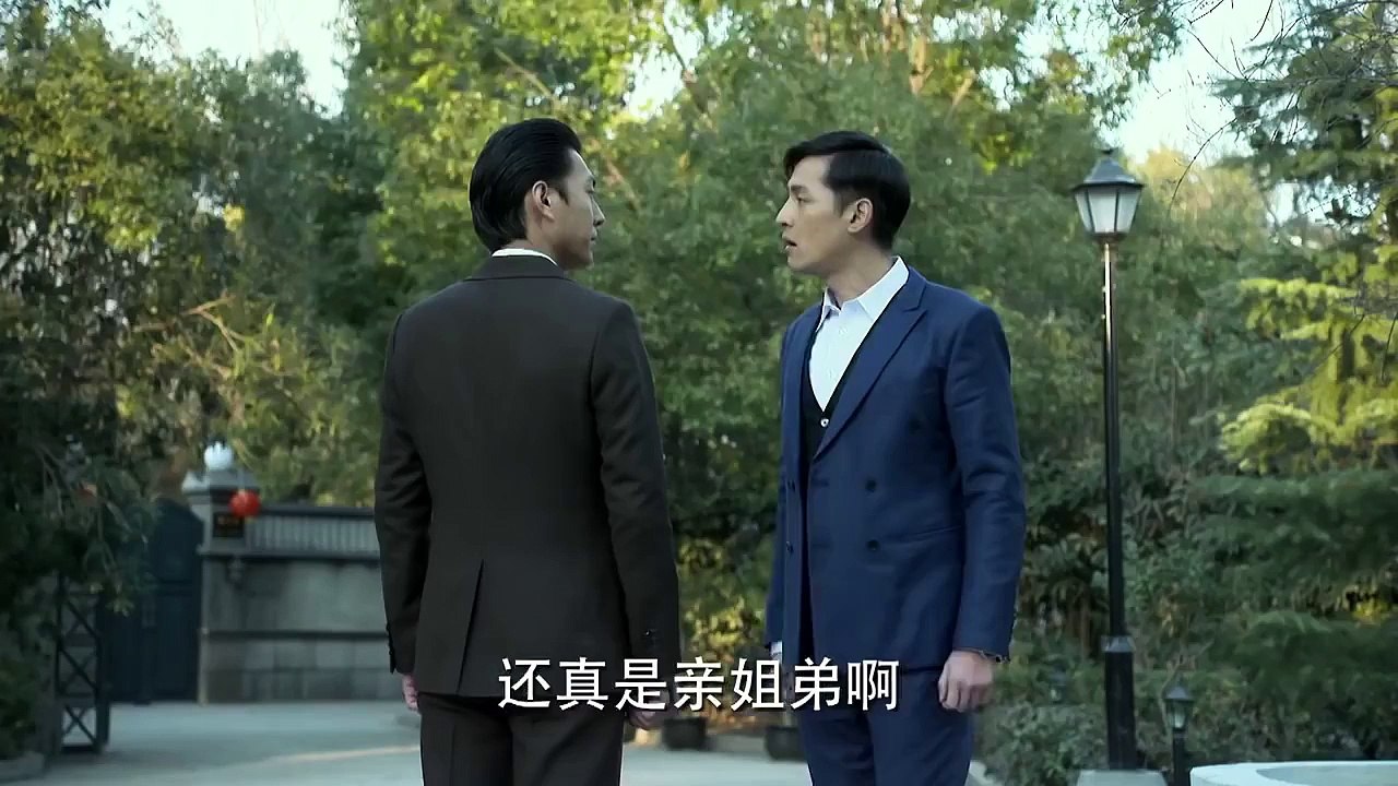 伪装者 14丨Disguiser 14