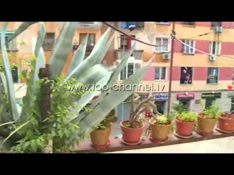 “Lulet më qetësojnë e më japin energji pozitive” - Top Channel Albania - News - Lajme