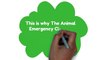 Need an Emergency Animal Hospital? Animal Emergency Clinic of Deerfield Can Help!