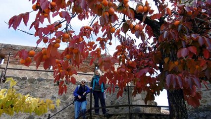 Au Château Fort Libéria à Villefranche-de-Conflent