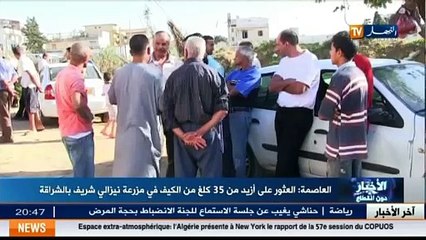 العاصمة العثور على أزيد من 35 كلغ من الكيف في مزرعة نيزالي شريف بالشراقة