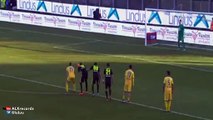 Daniel Ciofani 1-0 HD - Frosinone vs Verona  (Seria A) 29.11.2015