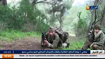 النشرة الثقافية ليوم   14اكتوبر 2014