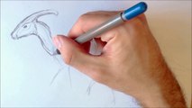How To Draw a Parasaurolophus Jurassic Park and Jurassic World Tutorial.